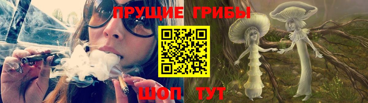 Псилоцибиновые грибы GOLDEN TEACHER Изобильный